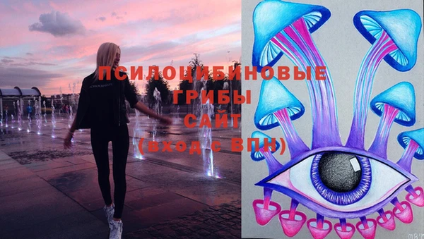 бошки Корсаков