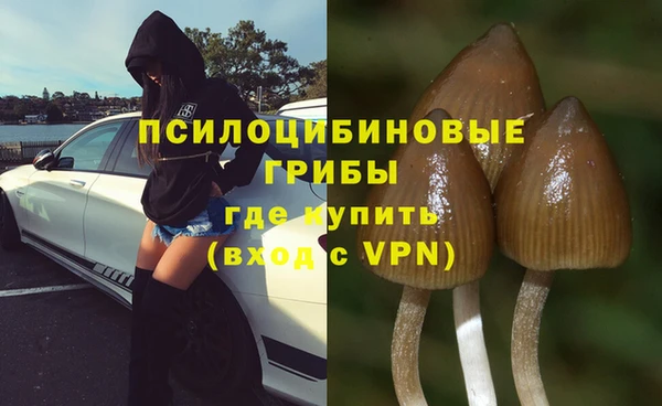 MESCALINE Коряжма